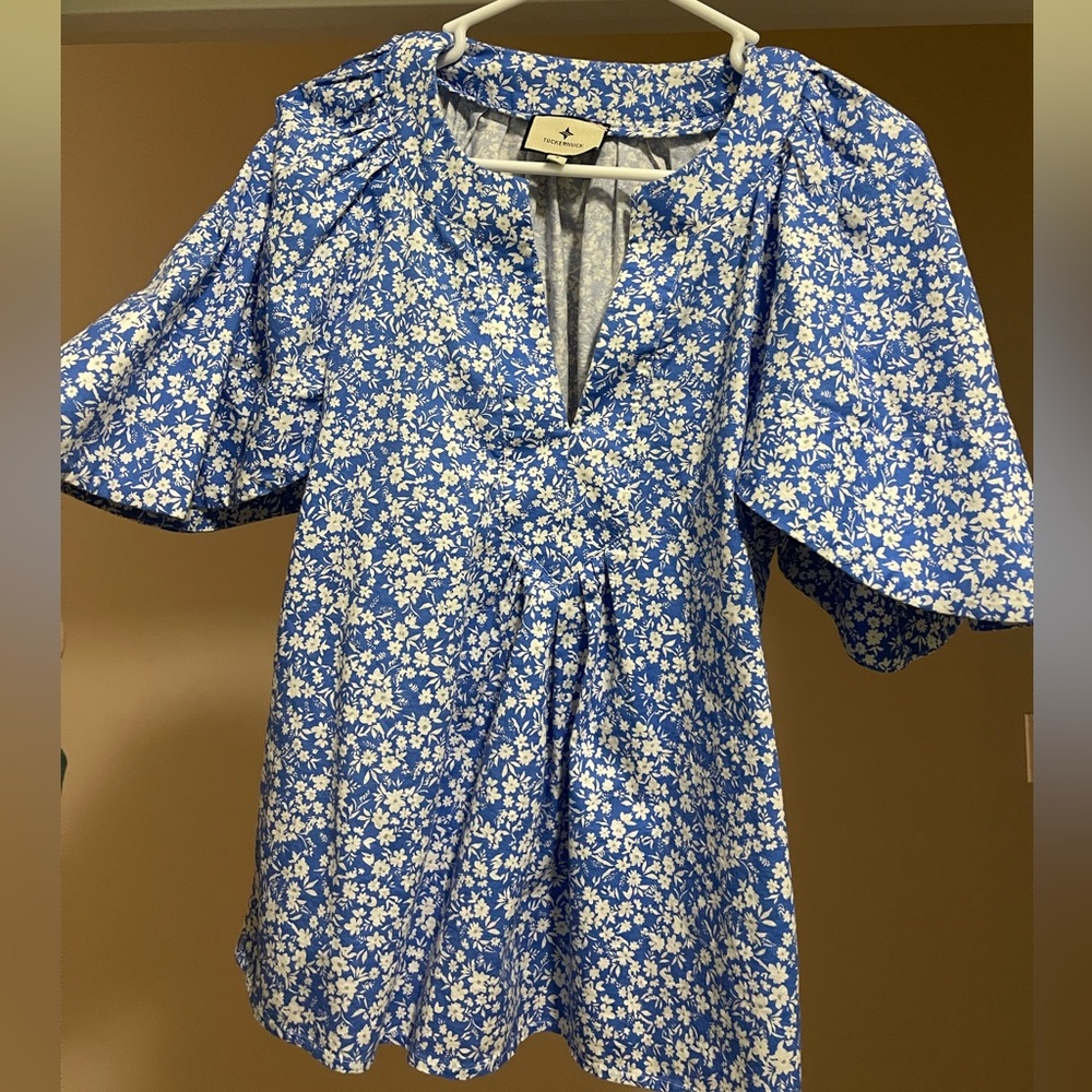 Tuckernuck Blue and White Flutter Sleeve Top